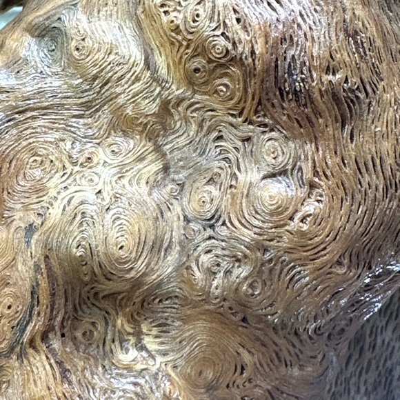 Burled Red Oak “Grow-Over” with Fungal Spalting Wood Sculpture One of a Kind - Picture 5 of 5